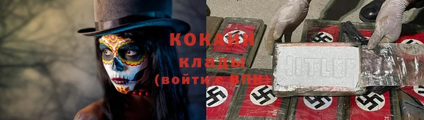 крисы Вязники