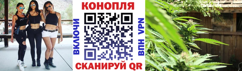 Каннабис тримм  продажа наркотиков  Дмитриев 
